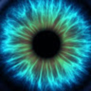 Meet your Posher, Bruce